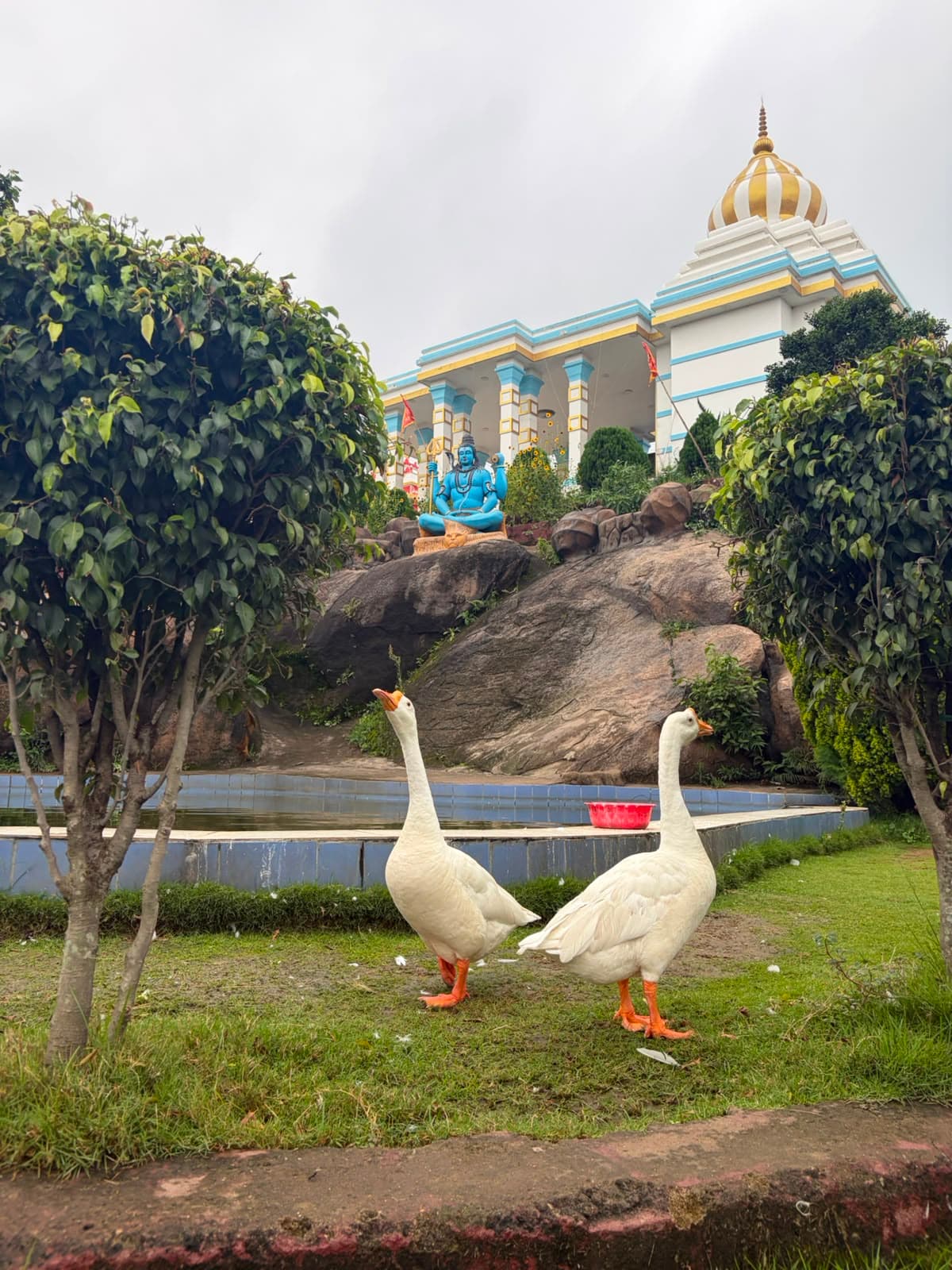 Shiv Temple, Vrindavan Colony, Chiraundi