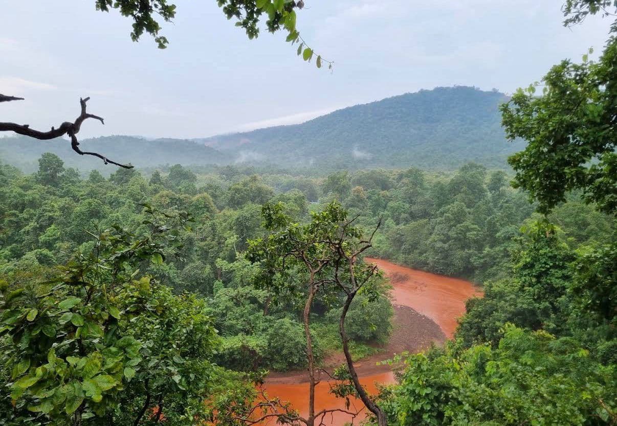  Saranda Forest